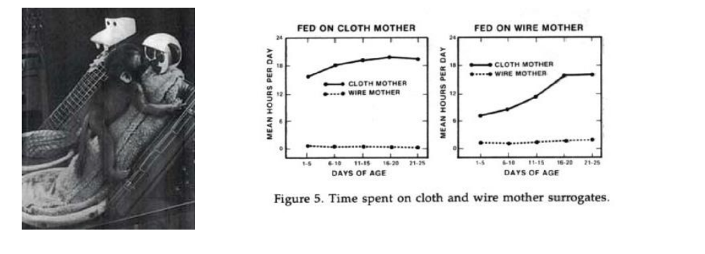 <ul><li><p>Harlow’s Monkeys were deprived of their mothers and given one of two surrogates: wire or cloth</p></li><li><p>Monkeys strongly preferred the cloth mother (even w/o food)</p></li></ul><p></p>
