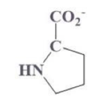 <ul><li><p>pro, P</p></li></ul><p></p><ul><li><p>4 C ring including the secondary carbon (pentagon ring)</p></li><li><p>has NH within the ring</p></li></ul><p></p><ul><li><p>NP and aliphatic</p></li><li><p>good for U turns </p></li></ul><p></p>