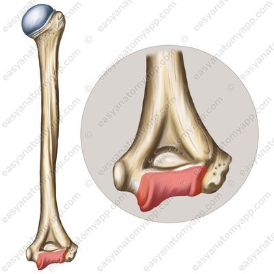 <p>What is this?</p>