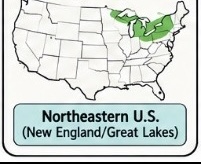 <p>Northeastern North America — hunting, fishing, and agriculture</p>