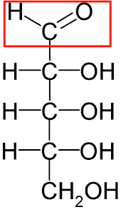 <p></p>