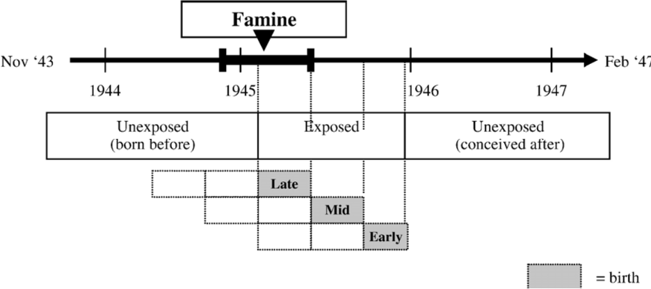 <ul><li><p><em>Winter 1944-1945, WWII</em></p></li><li><p class="MsoListParagraphCxSpMiddle"><em>Blockade of food shipments resulted in famine</em></p></li><li><p class="MsoListParagraphCxSpMiddle"><em>Intake belowe 1000 kcal over a defined period of time</em></p></li><li><p class="MsoListParagraphCxSpMiddle"><em>Intrauterine exposure of 2414 unborn children</em></p></li><li><p class="MsoListParagraphCxSpLast"><em>Looked at the effects later on in life were studied for thie birth cohort.</em></p></li></ul><p></p>