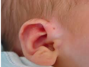 <p>Wat is dit?</p>