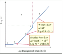 <p>Dark Light Region: Why is the slope of the dark light region 0?</p>
