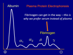 <p>if we used plasma, the fibrinogen can get in the way.</p>