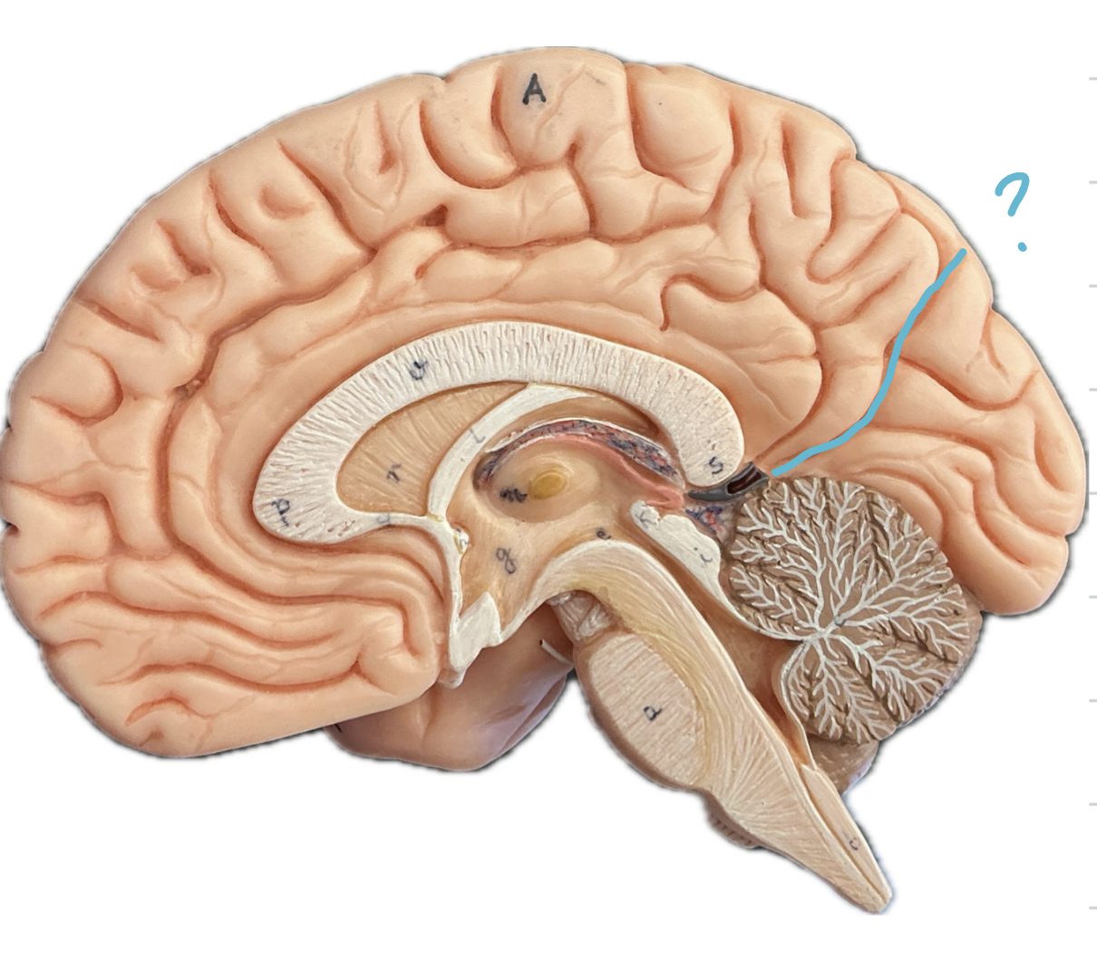 <p></p><p></p><p></p>