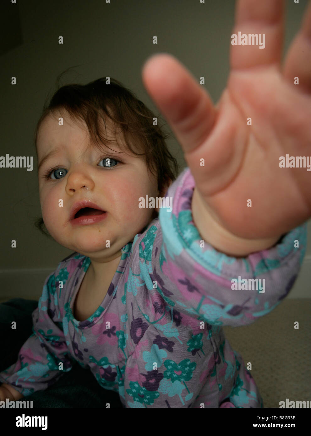 term image