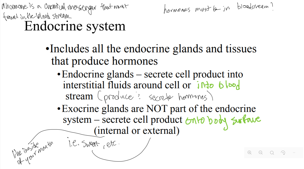 <p>T/F: Exocrine glands are apart of the endocrine system. </p>