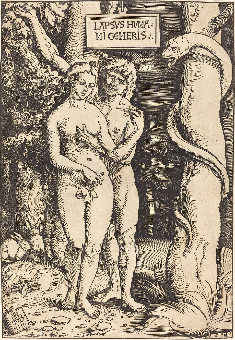term image