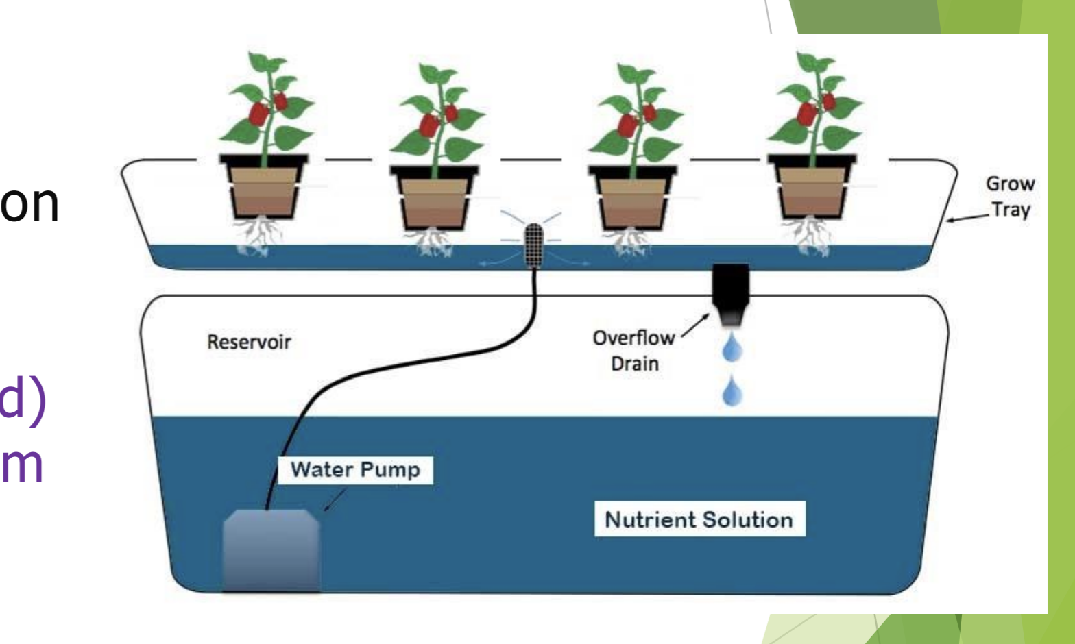 <ol><li><p>Reservoir</p></li><li><p>Nutrient solution</p></li><li><p>Grow tray</p></li><li><p>Pump</p></li><li><p>Growth medium</p></li><li><p>Roots</p></li></ol><p></p>