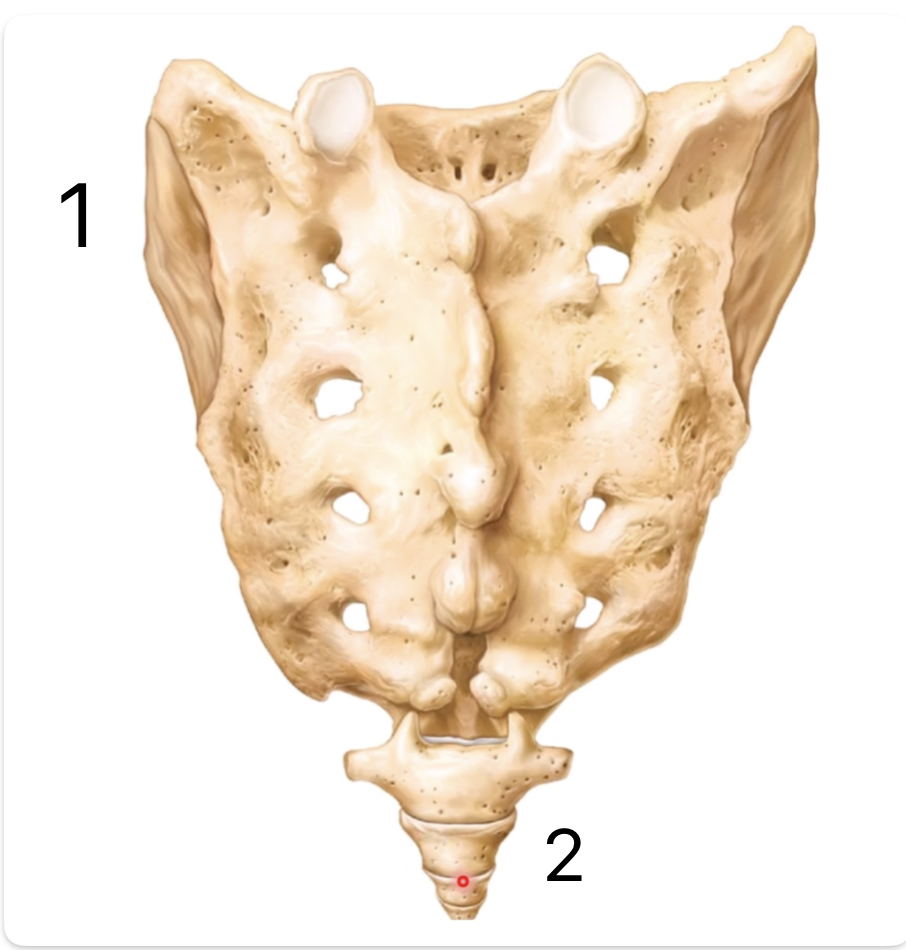 <p>What are 1 and 2</p>