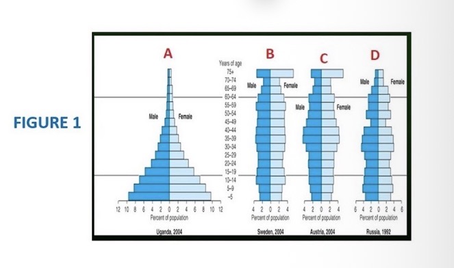 <p><span><span>Identify the type of population growth in Figure 1 labelled "C“</span></span></p>