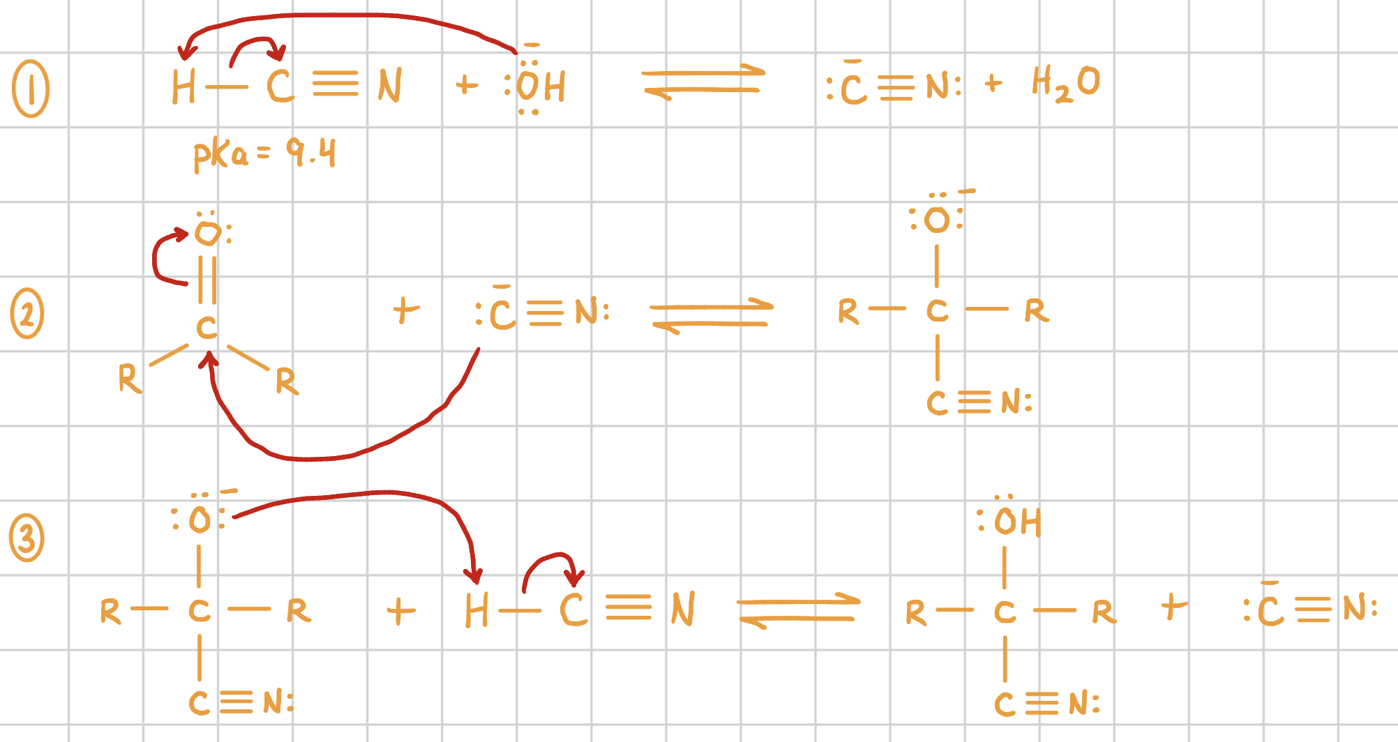 knowt flashcard image