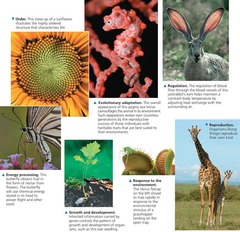 <p>Natural Selection.</p>