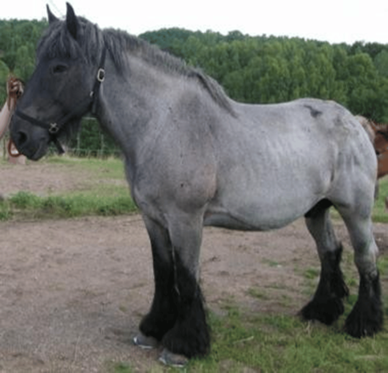 <p>afwijking</p>