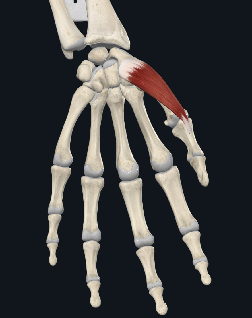 term image
