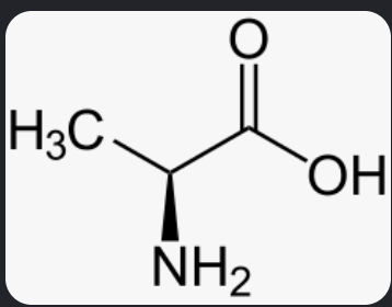 <p>What amino acid is this? </p>