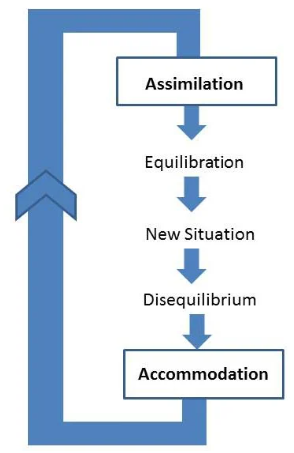 <p>Assimilation - new information absorbed </p><p>Equilibration - organise current information along with understanding </p><p>Accommodation - modify their understanding </p>