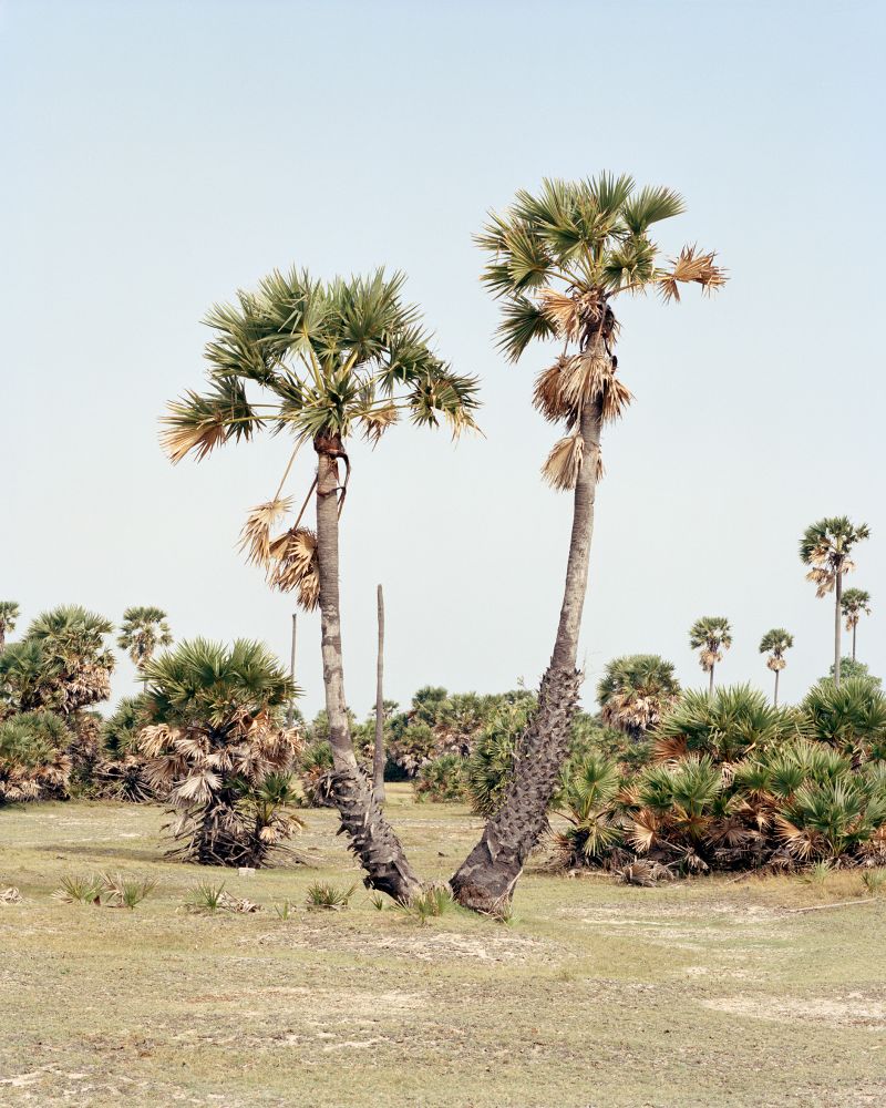 <p>Where Is This?</p>