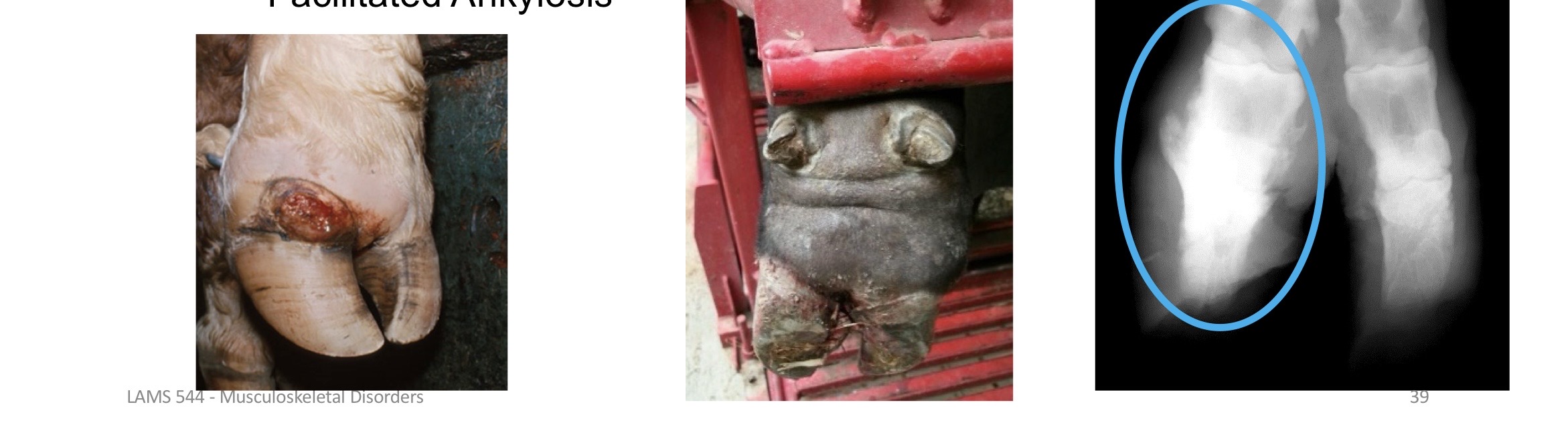 <p>what are these showing?</p>