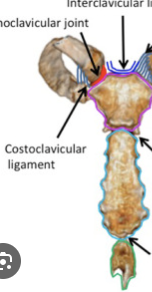 <p>in between the light blue and green sections at the bottom of the picture</p>
