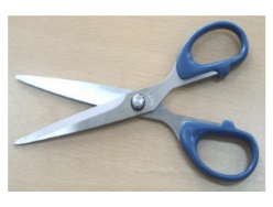 <p>scissors</p>