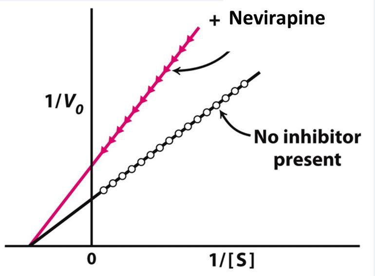 <p><span>A 28-year-old male is recently diagnosed with HIV. As part of his treatment, he is prescribed Nevirapine, which interferes with the retroviral reverse transcriptase enzyme. Using the graph below, which of the following best describes the impact of this drug on its target? </span></p>