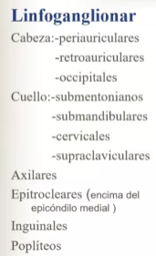 <p>Ganglios linfaticos palpables son tumoraciones (bulto) </p><p>Características</p><ul><li><p>Situacion</p></li><li><p>Limites</p></li><li><p>Tamaño</p></li><li><p>Forma</p></li><li><p>Superficie</p></li><li><p>Consistencia</p></li><li><p>Movilidad</p></li><li><p>Relaciones</p></li><li><p>Sensibilidad</p></li></ul><p></p>