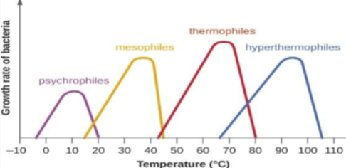 <ul><li><p>psychrophile: -5 to 15 C </p></li><li><p>mesophile: 20 to 30 C </p></li><li><p>thermophile: 45 to C 70 </p></li><li><p>hyperthermophile: 70 C or greater</p></li></ul><p></p>