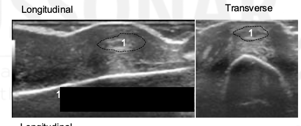 <p>What is this?</p>