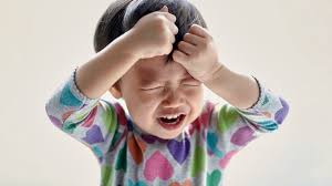 <p><strong>Screech</strong></p>