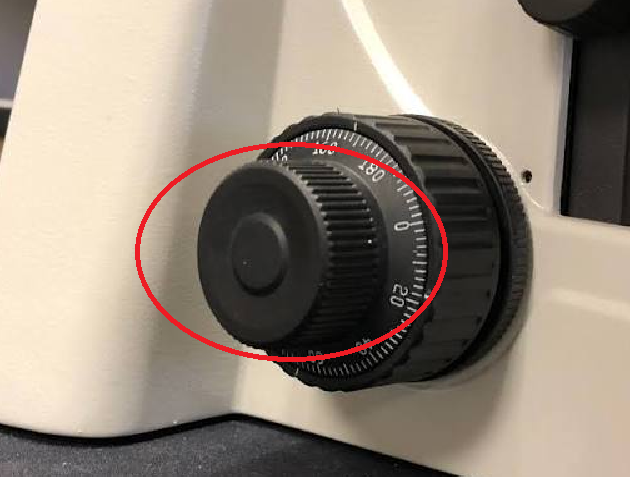 <p>a smaller dial used to make tiny, precise changes to the distance between the specimen and the lens for a sharp, clear image</p>