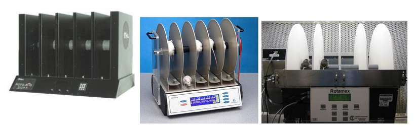 <p><span style="background-color: transparent;">Sensory/Motor (Coordination and Equilibrium)</span></p>