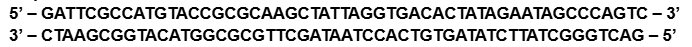 <p><span style="background-color: transparent;"><strong>Given the DNA strand below, a) please design a primer pair (each primer being 5 bases) that you would use during PCR to successfully amplify the entire given sequence.</strong></span></p><p><span style="background-color: transparent;"><strong>5’ – GATTCGCCATGTACCGCGCAAGCTATTAGGTGACACTATAGAATAGCCCAGTC – 3’</strong></span></p><p><span style="background-color: transparent;"><strong>3’ – CTAAGCGGTACATGGCGCGTTCGATAATCCACTGTGATATCTTATCGGGTCAG – 5’</strong></span></p><p><span style="background-color: transparent;"><strong>Forward 5’ - - 3’</strong></span></p><p><span style="background-color: transparent;"><strong>Reverse: 5’ - - 3’</strong></span></p><p><span style="background-color: transparent;"><strong>b) How many base pairs long would the final DNA PCR fragment be using the primers shown below?</strong></span></p><p><span style="background-color: transparent;"><strong>Fwd: 5’ – AAGCT – 3’</strong></span></p><p><span style="background-color: transparent;"><strong>Rev: 5’ – ATAGT – 3’</strong></span></p><p><span style="background-color: transparent;">(Lecture #5-6 Questions)</span></p>