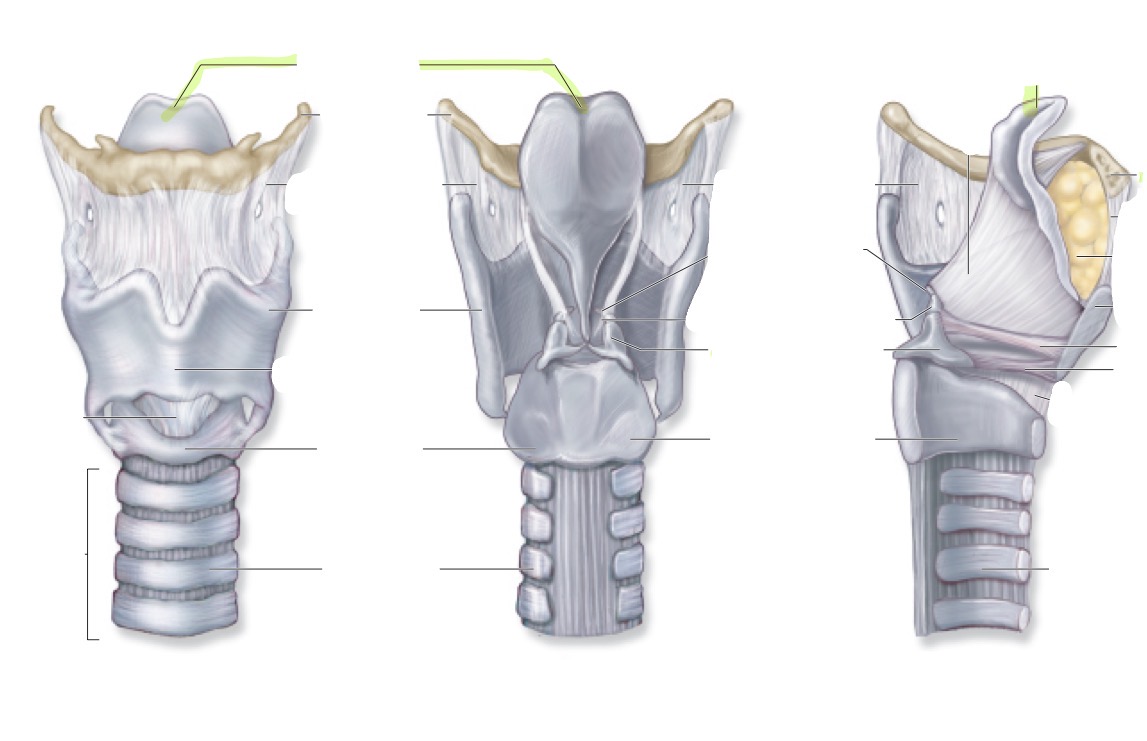 <p>what is this </p>