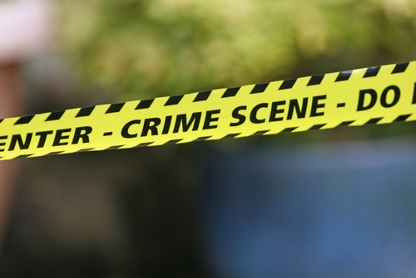 <p>the crime</p>