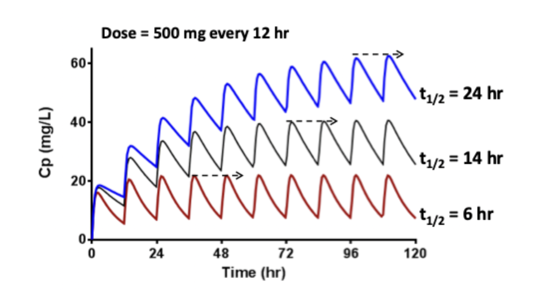 <ul><li><p>Only dependent on elimination half life</p><ul><li><p>Remember (kel = cl / v ) </p></li></ul></li></ul><p></p>