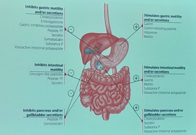 <p>idk how u can study this but do it anyway. type “oki yohan u cool”</p>