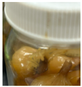 <p>___________ - consists of small stem tissue to which fleshy storage leaves are attached (ex. onion)</p>