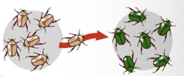 <p>What is this?</p>