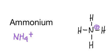 <p>NH<sub>4</sub><sup>+</sup></p><p>mehratomiges Ion</p>