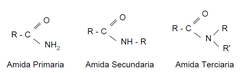 <p>Grupo Funcional: Amido (-CONH₂)</p><p>📘 Nomenclatura IUPAC</p><p>Nombre del hidrocarburo + "amida" (sin la "o" final del alcano primario)</p><p>Ejemplo: CH₃-CONH₂ → Metanamida (de metano → metanamida)</p><p>🏷️ Nomenclatura Común</p><p>Raíz común del ácido (form-, acet-, propion-, butir-, etc.) + "amida"</p><p>Ejemplo: H-CONH₂ → Formamida (ácido fórmico → formamida)</p><p>🧪 Ejemplos Clave:</p><p>CH₃-CONH₂</p><p>IUPAC: Metanamida</p><p>Común: Acetamida (de ácido acético)</p><p>CH₃CH₂-CONH₂</p><p>IUPAC: Propanamida</p><p>Común: Propionamida</p><p>H-CONH₂</p><p>IUPAC: Metanamida</p><p>Común: Formamida ✅</p><p>💡 Regla mnemotécnica: Ácido ...oico → quita "oico", añade "amida" (IUPAC) </p><p>Nombre común del ácido → raíz + "amida" (Común)</p>