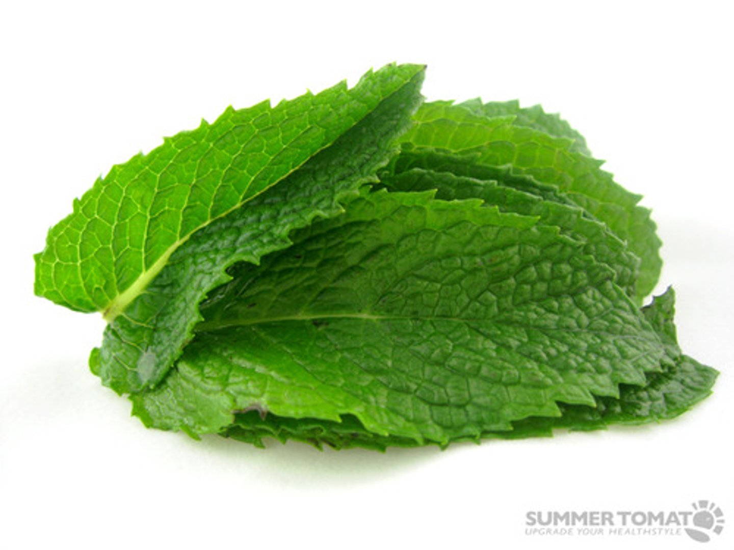 <p>la menthe</p>
