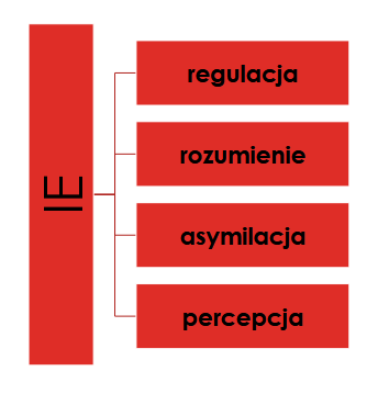 <p>IE nie jest pozytywną cechą charakteru, motywacją do działań prospołecznych, konglomeratem właściwości akceptowanych społecznie, lecz <span style="color: red;">grupą zdolności</span></p>