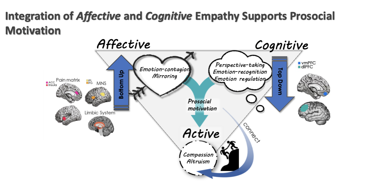 <p>Affective and Cognitive empathy work together to shift thoughts from feeling <em>with </em>to feeling <em>for</em> someone</p>