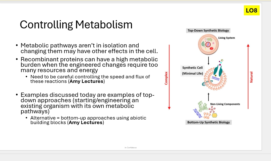 <p>(Top down)</p><ul><li><p>starting with a living system, and engineering its metabolic pathway</p></li><li><p>may have problems with preexsisting, interconnecting pathways / metabolic balance in the cell (Eg may be energy burden)</p></li></ul><p>(Bottom up)</p><ul><li><p>starting with chemical compounds in the lab, and building these up to engineer a new metabolic pathway from scratch</p></li><li><p>rather than interferring with existing pathways - we make our own</p></li><li><p>however we lack the template as in top down (we have to build something from nothing)</p></li></ul><p></p>