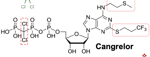 <ul><li><p>nucleotide analogue→ chemical structure that <strong>resembles ATP</strong>→ natural <strong>antagonist at P2Y12 receptor</strong></p></li><li><p>IV non prodrug</p></li><li><p><strong>reversible</strong> antagonist, superior to the irreversible P2Y12 antagonist</p></li><li><p>replacement of <strong>anhydride oxygen between Ph-beta and Ph-gamma</strong> w/ <strong>dichloro methylene</strong> to keep potency of ATP with similar pKa to avoid metabolism to proaggretory ADP</p></li><li><p>addition of S-propyl at the purine moiety- enhanced affinity</p></li><li><p><strong>methylsulfanylethylamino</strong> group at C6 position can lead to a tenfold increase in activity</p></li><li><p><strong>trifluoropropylsulfanyl</strong> group at C2 enhance activity</p></li></ul><p></p>