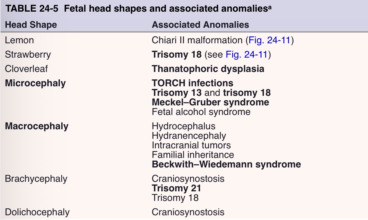 <p>Lemon: <strong>chiari 2 malformation</strong></p><p>Strawberry:<strong> trisomy 18</strong></p><p>Cloverleaf: <strong>thanotophoric dysplasia</strong></p><p>Microcephaly: <strong>torch infection</strong>, <strong>trisomy 13 or 18</strong>, <strong>meckel-gruber syndrome</strong></p><p>Macrocephaly: <strong>hydro or hydranecephaly, beckwith- wiedeeman syndrome</strong></p><p>Brachycephaly: <strong>trisomy 21</strong></p><p>Dolichocephaly: <strong>craniosynostosis</strong></p>