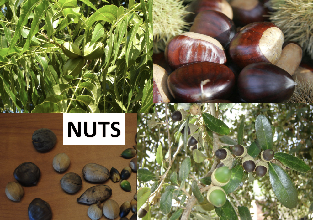 <p>What is this? </p>