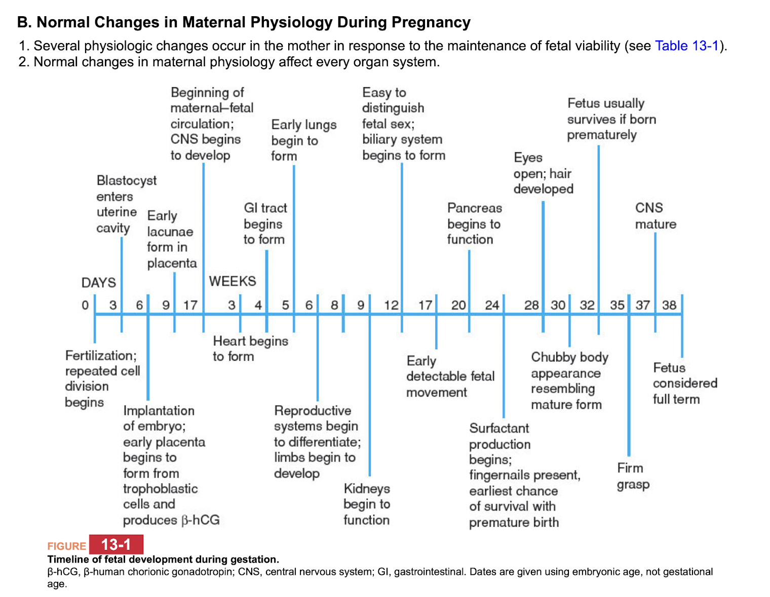 <p>3 days after fertilization: blastocysts enters uterine cavity&nbsp;</p><p class="p1">6 days: implantation and form trophoblastic cells and produce beta HCG&nbsp;</p><p class="p2"></p><p class="p1">3 weeks: heart begins to form&nbsp;</p><p class="p1">5 weeks: early lungs form&nbsp;</p><p class="p1">9 weeks: kidneys begin to function&nbsp;</p><p class="p1">12 weeks: can tell sex; biliary system begins to form&nbsp;</p><p class="p1">17 weeks: fetal movement can be detected</p><p class="p1">20 weeks: pancreas begins to function&nbsp;</p><p class="p1">24 weeks: surfactant production, fingernails present, earliest chance of survival for premature birth&nbsp;</p><p class="p1">38 weeks: full term&nbsp;</p>